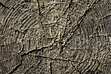 Similar image 7903316