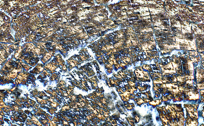 Similar image 7903318