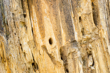 Similar image 7903322