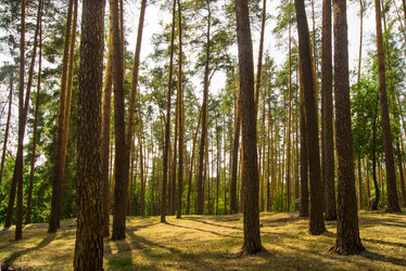 Similar image 7903330