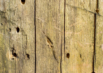 Similar image 7903335