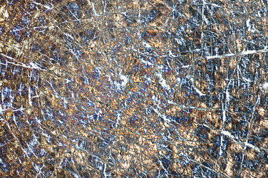 Similar image 7903336