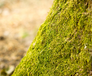 Similar image 7903337