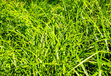 Similar image 7903339