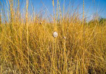 Similar image 7903340