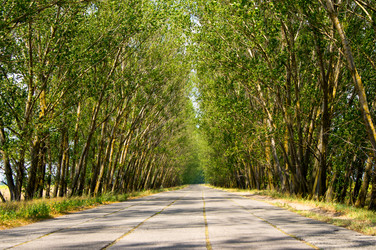 Similar image 7903341