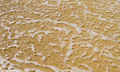 Similar image 7903342