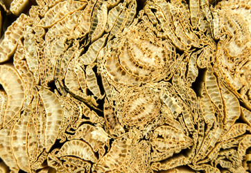 Similar image 7903372