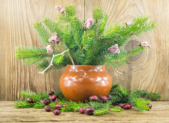 Similar image 7903411