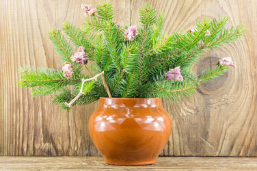 Similar image 7903451