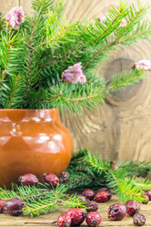 Similar image 7903452