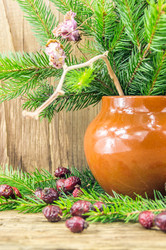 Similar image 7903456