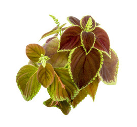 Similar image 7903458