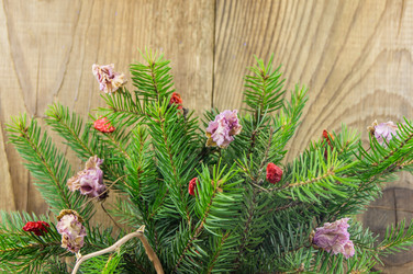 Similar image 7903481