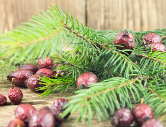 Similar image 7903485