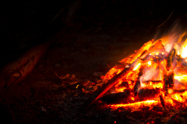 Similar image 7903488