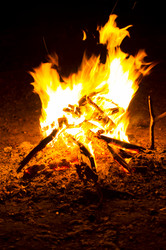 Similar image 7903492