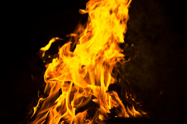 Similar image 7903496