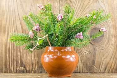 Similar image 7903510