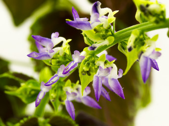 Similar image 7903551