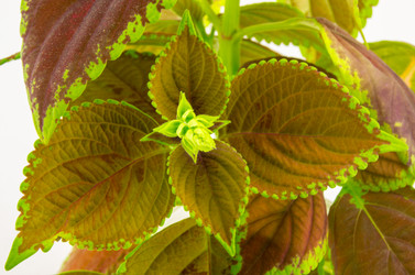 Similar image 7903559