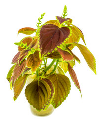 Similar image 7903560