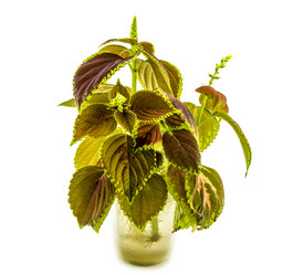 Similar image 7903567