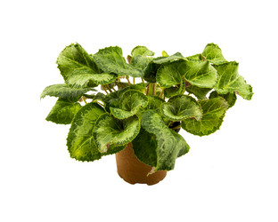 Similar image 7903590