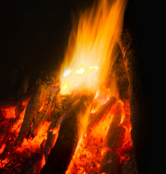 Similar image 7903606