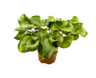 Similar image 7903612