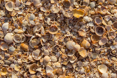 Similar image 7903620