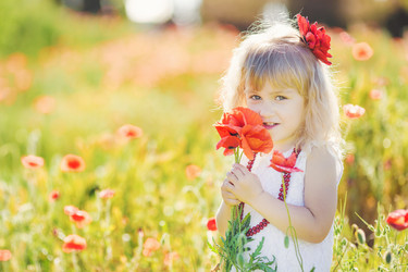 Similar image 7903640