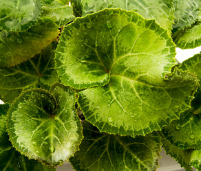 Similar image 7903660