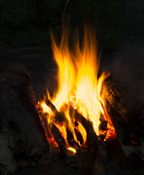 Similar image 7903662