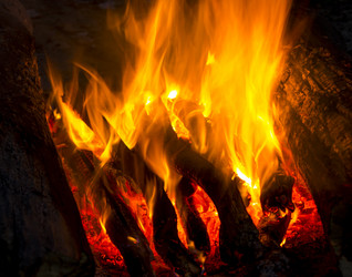 Similar image 7903665