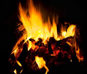 Similar image 7903677