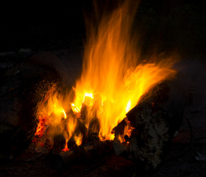 Similar image 7903681