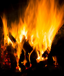 Similar image 7903682