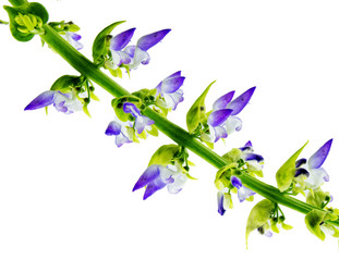 Similar image 7903685