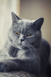 Similar image 7903689