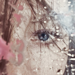 Similar image 7903690