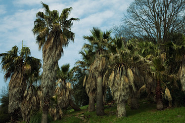 Similar image 7903695