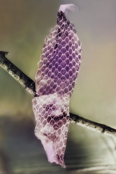 Similar image 7903701