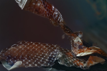 Similar image 7903702