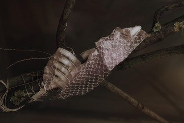 Similar image 7903705