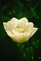 Similar image 7903711