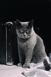 Similar image 7903720