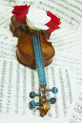 Similar image 7903722