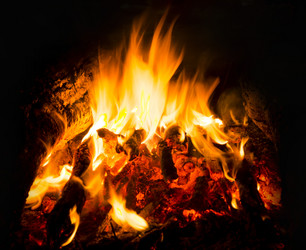 Similar image 7903736