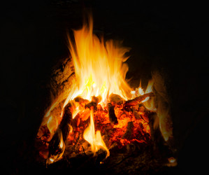 Similar image 7903741